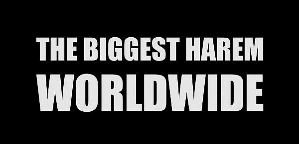  First Harem Worldwide! Every Man´s Dream!